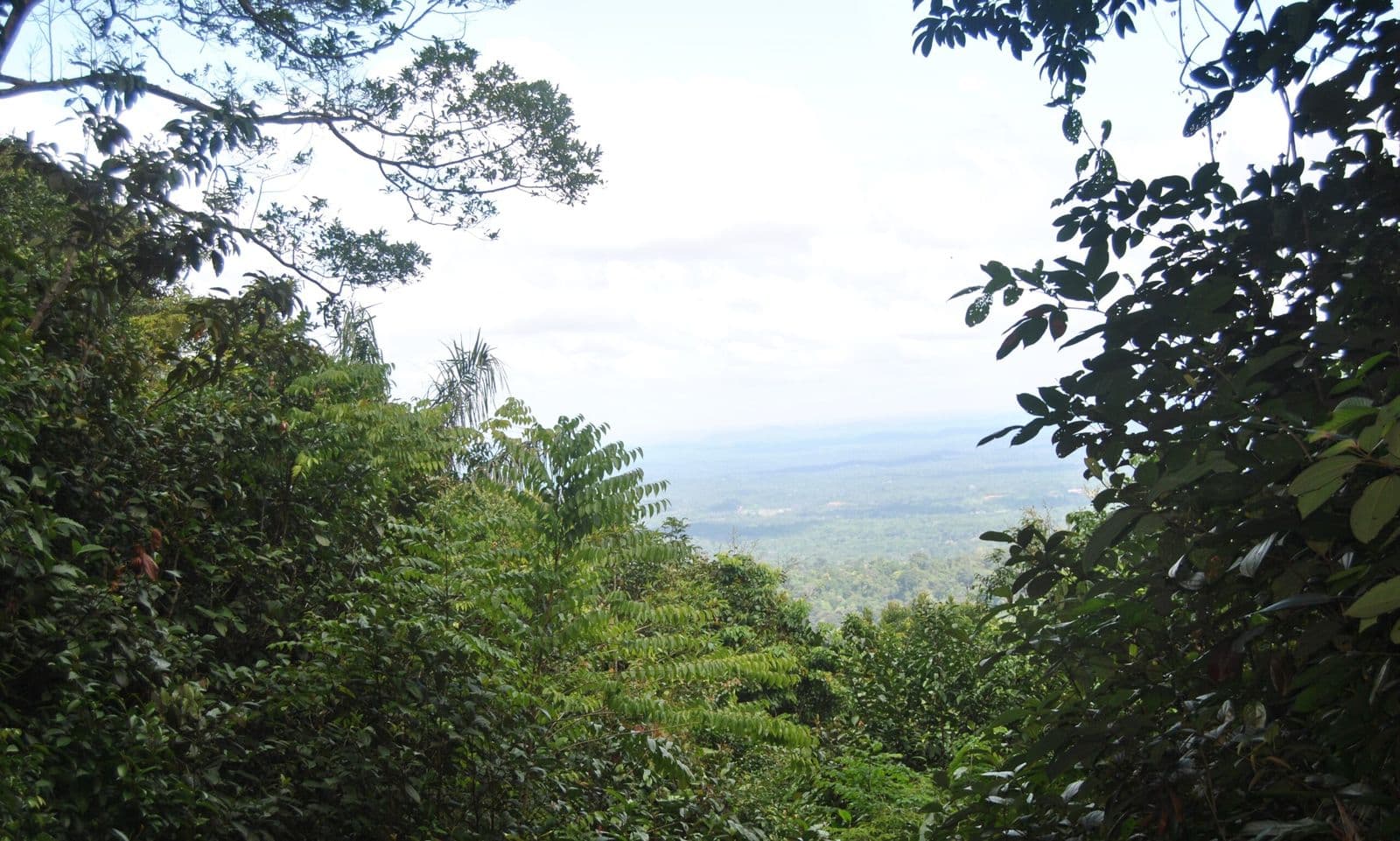 Uitzicht over Suriname